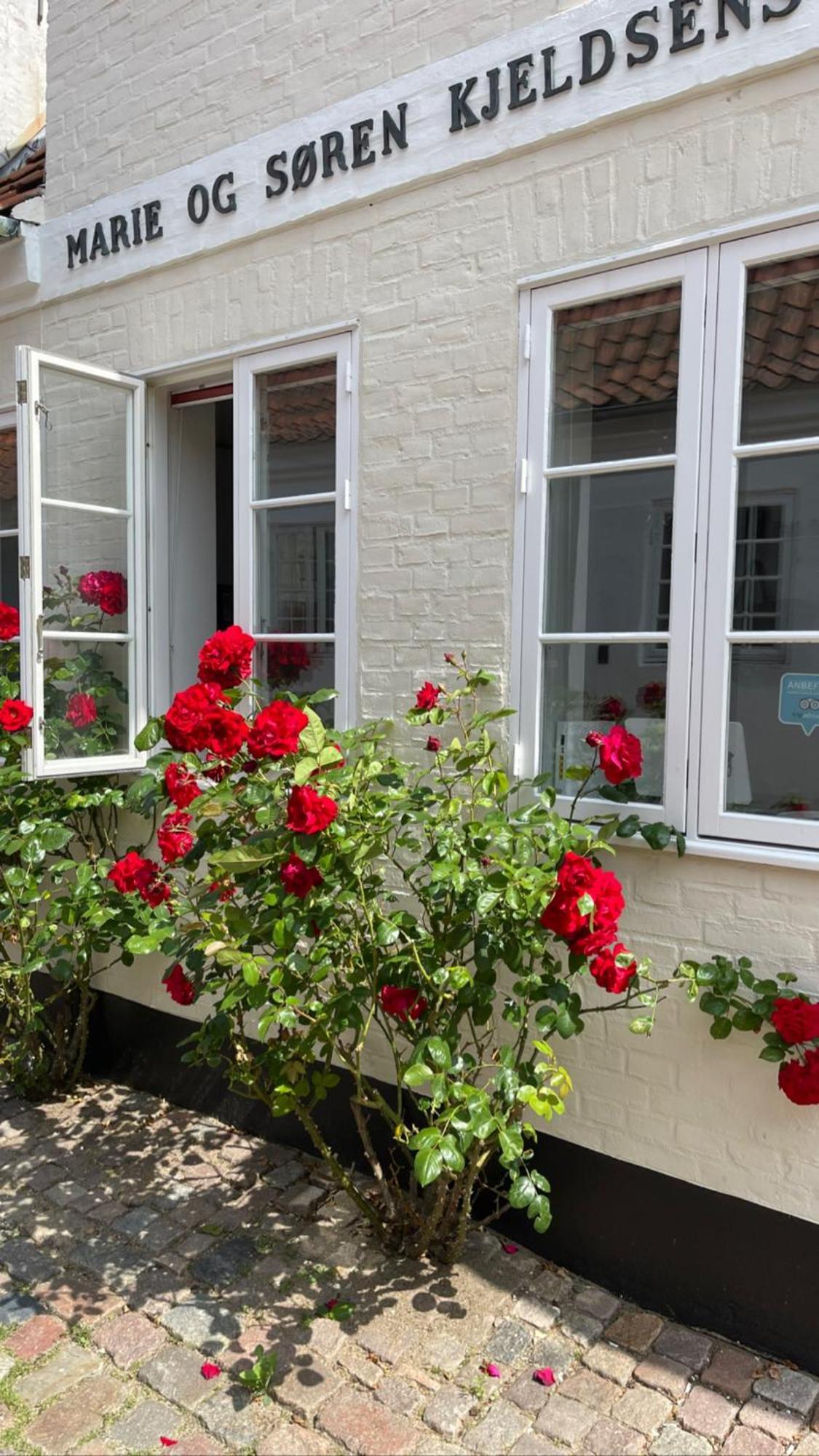 Bed and Breakfast Restaurant Saelhunden Ribe Exterior foto