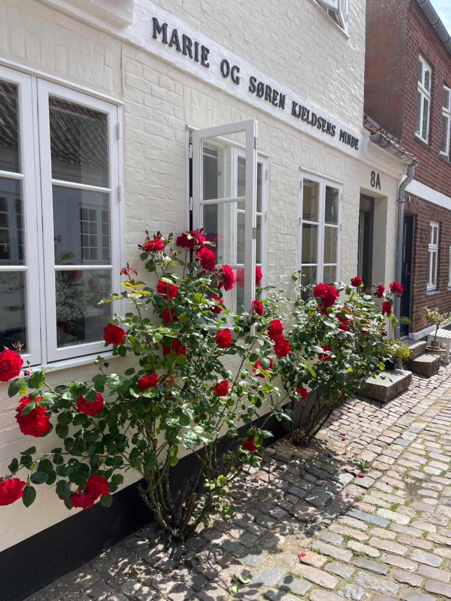 Bed and Breakfast Restaurant Saelhunden Ribe Exterior foto